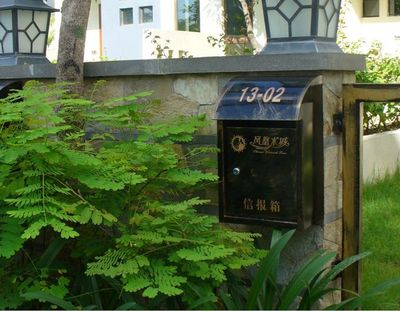 Google 圖片搜索 的結(jié)果